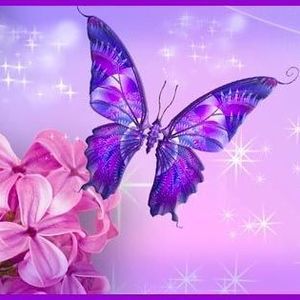 Meet your Posher, Natasha